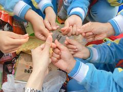 -西湖外事游船(花港观鱼码头)