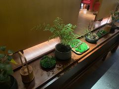-300杯·和牛烧肉清酒专门店(廊里店)