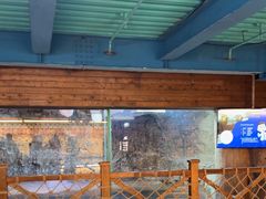-海合安青岛极地海洋公园