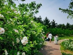 -洨河生态公园