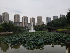-龙头寺公园