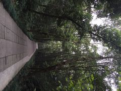 林泉山庄-杭州林泉山庄