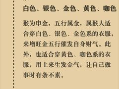 -观心实验室·心理咨询(上海旗舰店)