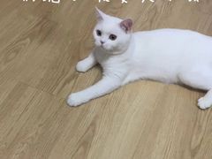 -人在茶在(华南店)