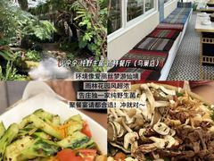 -西双版纳原始森林公园