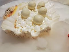 -汤城·料青山