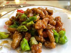 -石老头关东饺子王·东北菜(嘉华鑫城店)
