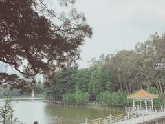 -畔山酒店中餐厅