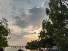 -宝安西湾红树林湿地公园