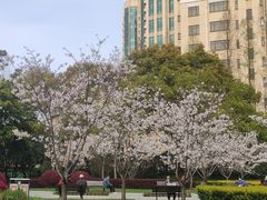 -徐家汇源景区-衡山公园