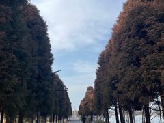 -苏州太湖国家湿地公园