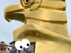 -大金鹰园