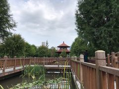 -五缘湾湿地公园
