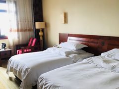 -维也纳国际酒店·西安大雁塔大唐不夜城店