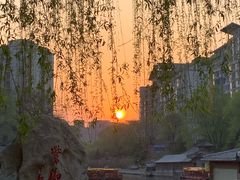 -皇家御河游(紫御湾码头)