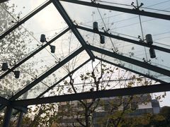 -上海徐汇瑞峰酒店