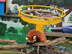 -西霞口神雕山野生动物世界