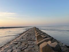 -南汇嘴观海公园