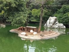 -昆明动物园