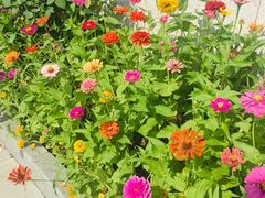 -无锡市市民中心