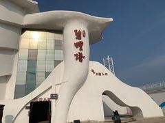 -北戴河碧螺塔海上酒吧公园