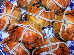 太湖大闸蟹-呼吸森林·生态农庄农家乐私房菜