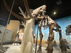 -国家自然博物馆