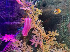 -沈阳海洋探索中心