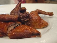 -五谷芳乳鸽王(海景店)