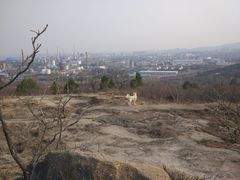 -白水寺森林公园