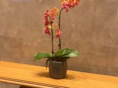 -菲住布渴酒店自助餐厅(阿里巴巴西溪园区店)