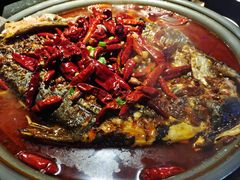 -匠子烤鱼(桫椤湾店)
