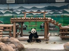 -柳州市动物园