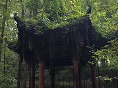 -凤栖山
