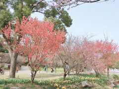 -苏州上方山国家森林公园