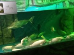 -泉州海丝野生动物世界