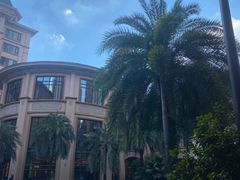 -星河湾半岛酒店-真粤中餐厅