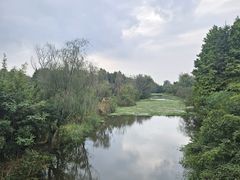 -溱湖国家湿地公园