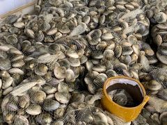 -江杨农产品批发市场