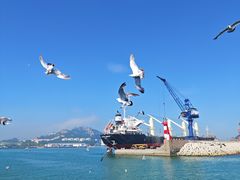 -海驴岛(荣成市)