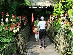 -呀诺达热带雨林
