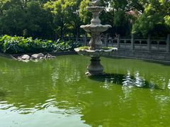 -洛阳白马寺
