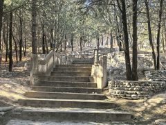 -北京鹫峰国家森林公园