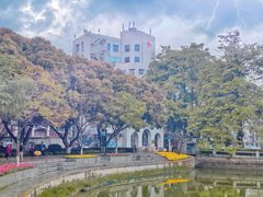 -中山公园