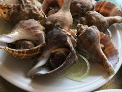 -万宝海鲜舫(劳动公园店)