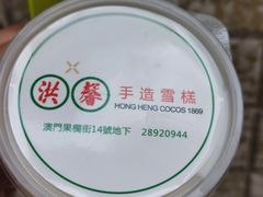 -洪馨椰子