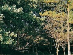 -杭州张苍水先生祠