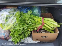 -大连果菜批发市场