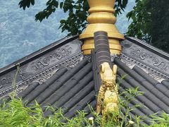 -峨眉山报国寺
