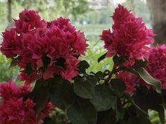 -洈水谣 · 地道荆州松滋菜(菱角湖公园店)